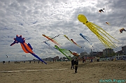 RIMINI 2012 - 174